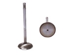 Valve, Intake