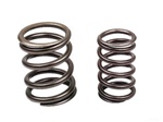 Valve Spring Kit