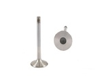 Valve, Intake