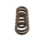 Exhaust Engine Valve Spring