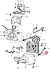 Radiator Hose - Right Radiator Lower Hose