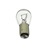 Tail Light Bulb-Twin Filament-21/5 Watt