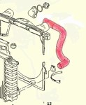Lower Radiator Hose